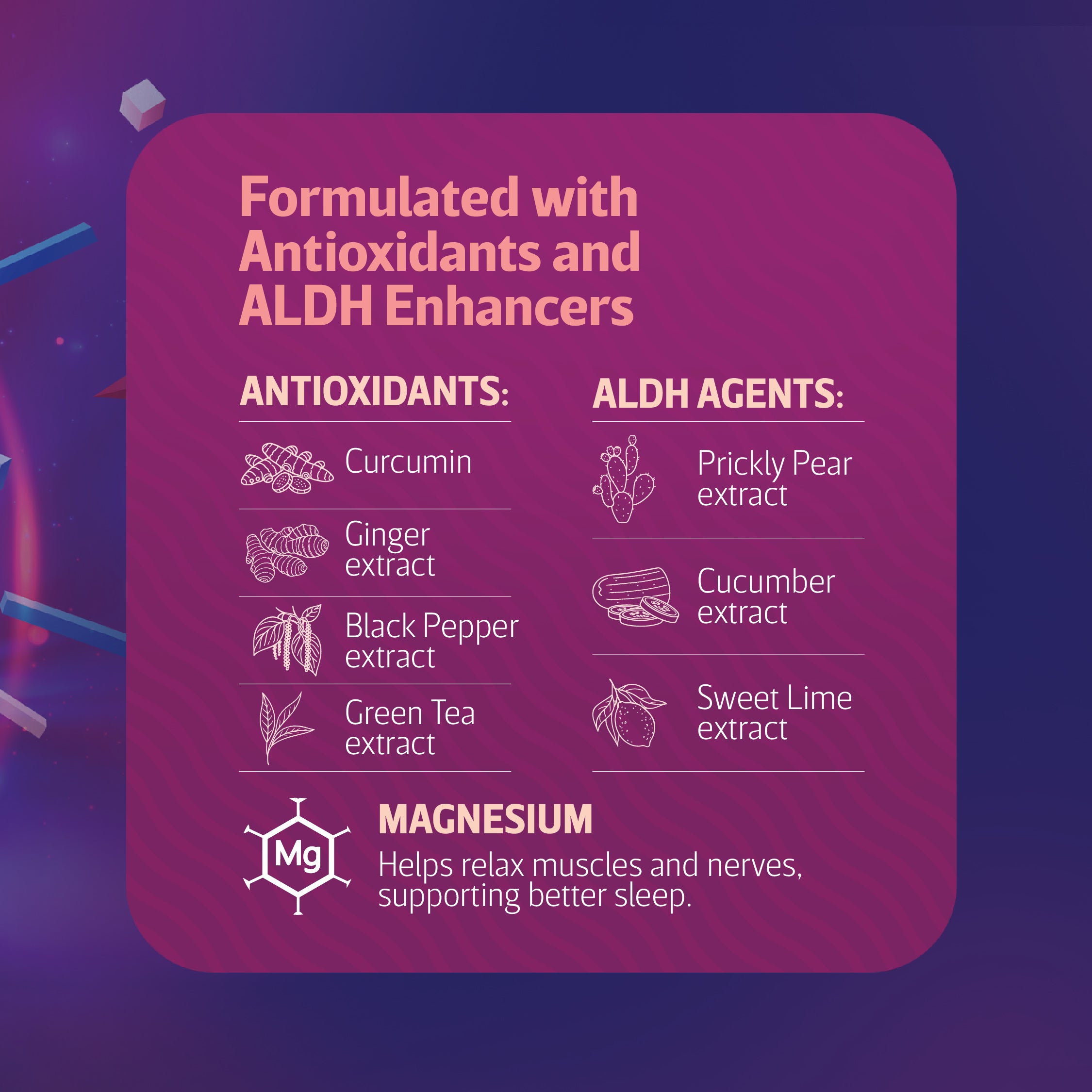 Rebound Detox Shot - Assorted Pack of 04 (Lime and Orange) Zero Sugar & Added Magnesium